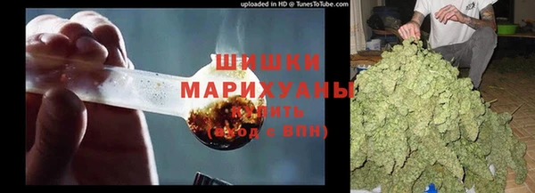 гидра Покачи