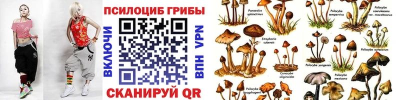 где найти   Звенигород  нарко площадка наркотические препараты  Псилоцибиновые грибы ЛСД 